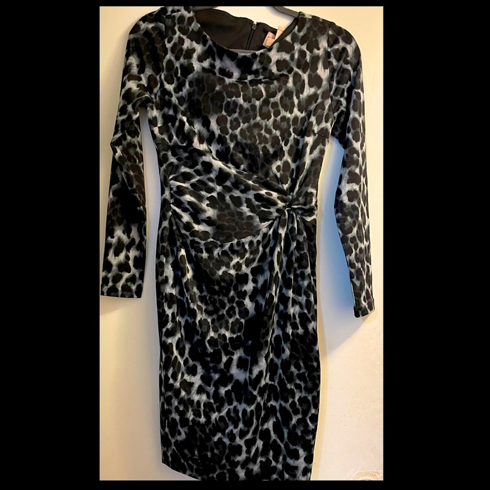 Philosophy leopard print dress.